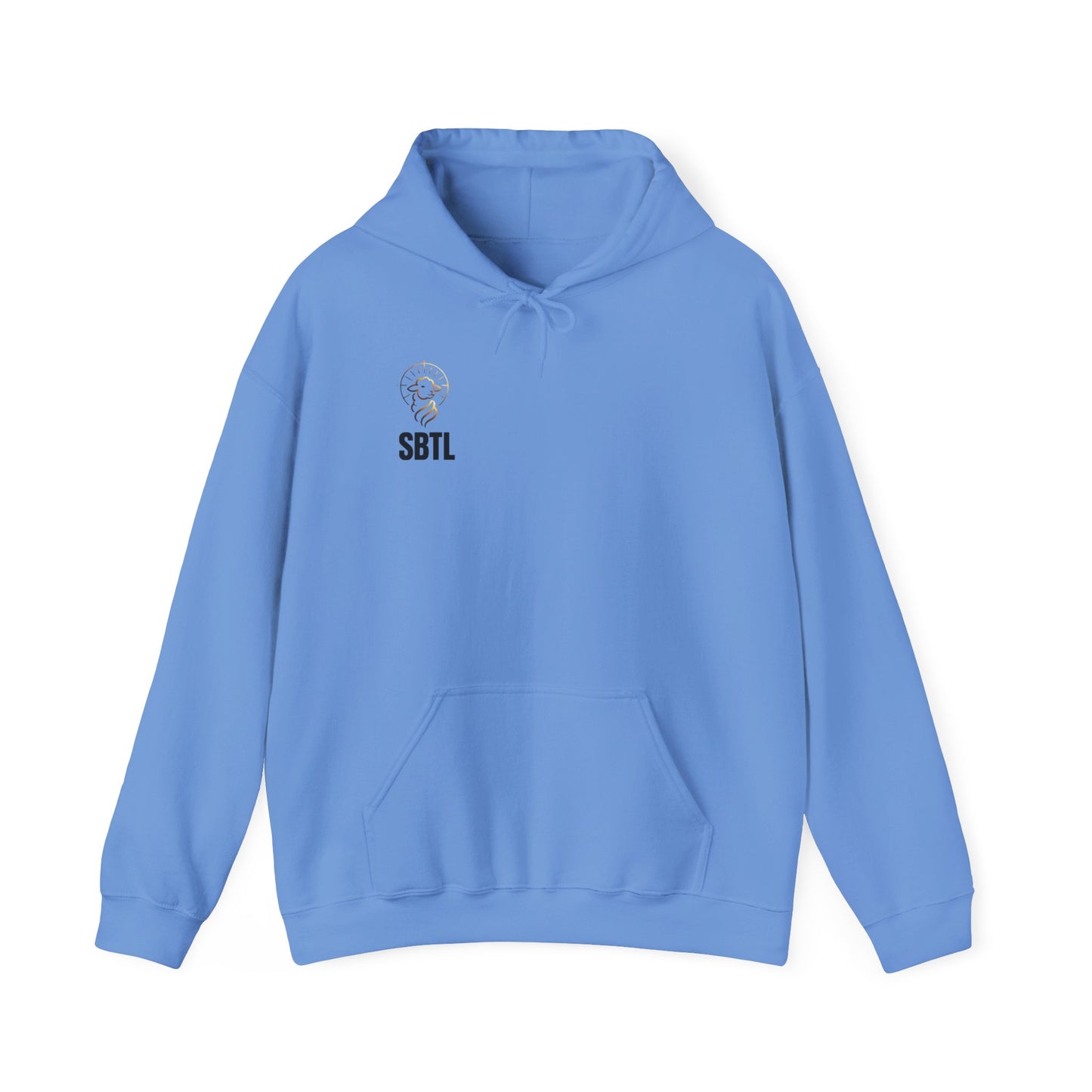 POWER IN THE NAME OF JESUS Hoodie
